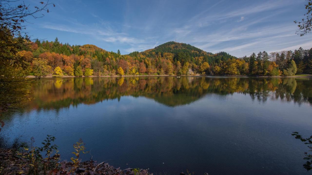 Bergsee Apartment Bad Säckingen